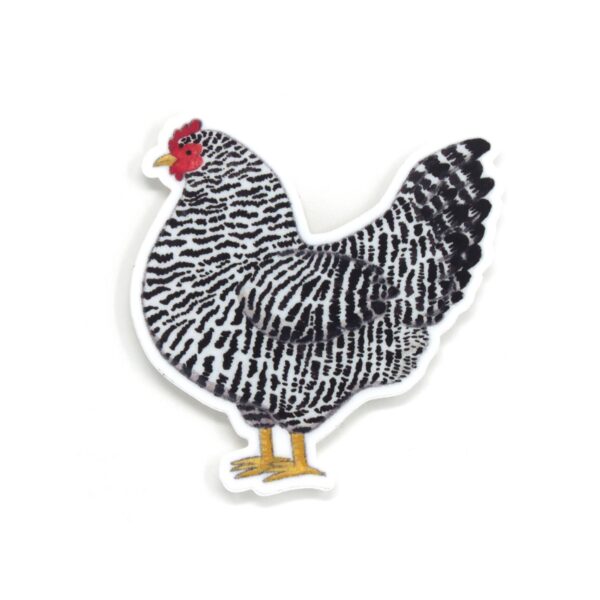 Chicken Sticker – Fun Illustrated Vinyl Decal for Personalization