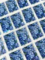 Forget Me Not Flower Vinyl Sticker – Glittery Waterproof Decal