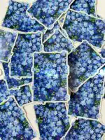 Forget Me Not Flower Vinyl Sticker – Glittery Waterproof Decal