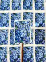 Forget Me Not Flower Vinyl Sticker – Glittery Waterproof Decal