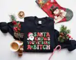 Funny Santa Shirt – Sarcastic Holiday Humor Tee for Adults