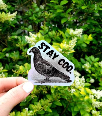 Holographic Stay Coo Pigeon Sticker – Funny Bird Laptop Décor