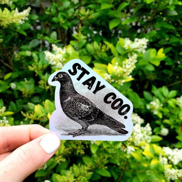 Holographic Stay Coo Pigeon Sticker – Funny Bird Laptop Décor