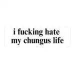 i hate my chungus life bumper sticker – funny waterproof vinyl decal
