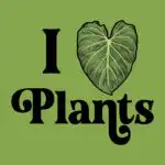 I heart plants t-shirt – alocasia leaf design for plant lovers
