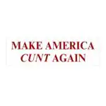 Make America Fun Again Bumper Sticker & Magnet – Waterproof Vinyl