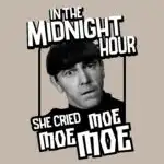 Moe Parody T-Shirt – Funny Cotton Tee with Satirical Design