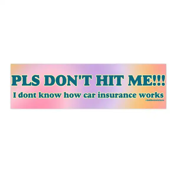 Please Don't Hit Me Bumper Sticker and Magnet – Funny Vinyl Decal