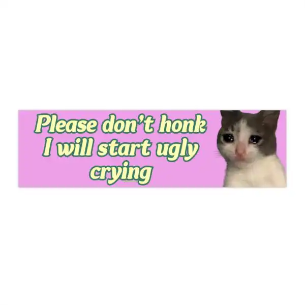 Please Don't Honk I Will Start Ugly Crying | Funny Bumper Sticker