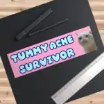 Tummy Ache Survivor Bumper Sticker – Funny Waterproof Vinyl Design