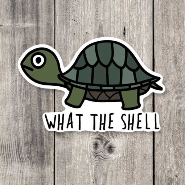 What the Shell Turtle Sticker – Cute Water Bottle Decal