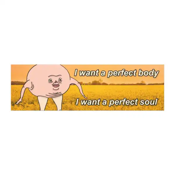 I Want a Perfect Body Vinyl Car Magnet