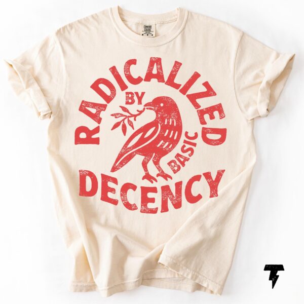 Radicalized By Basic Decency Activist Social Justice Shirt