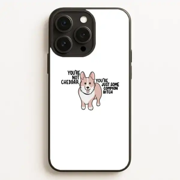 You're Not Cheddar Brooklyn Nine-Nine Phone Case