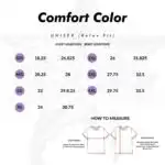 Bieberchella JB Heart Heavyweight Ring Spun Cotton Shirt