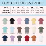 Justin Bieber Coachella Singing With You 2000s Nostalgic Shirt