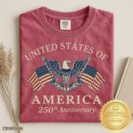 United States of America 250th Anniversary Shirt