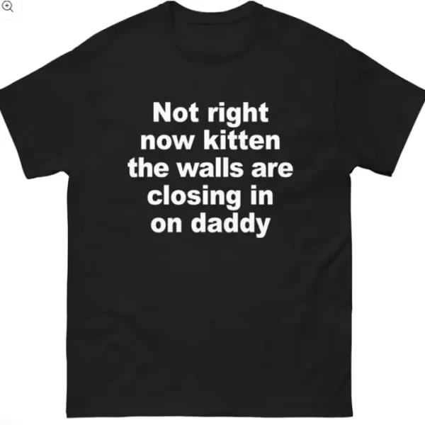 Not Right Now Kitten The Walls Are Closing In On Daddy Shirt