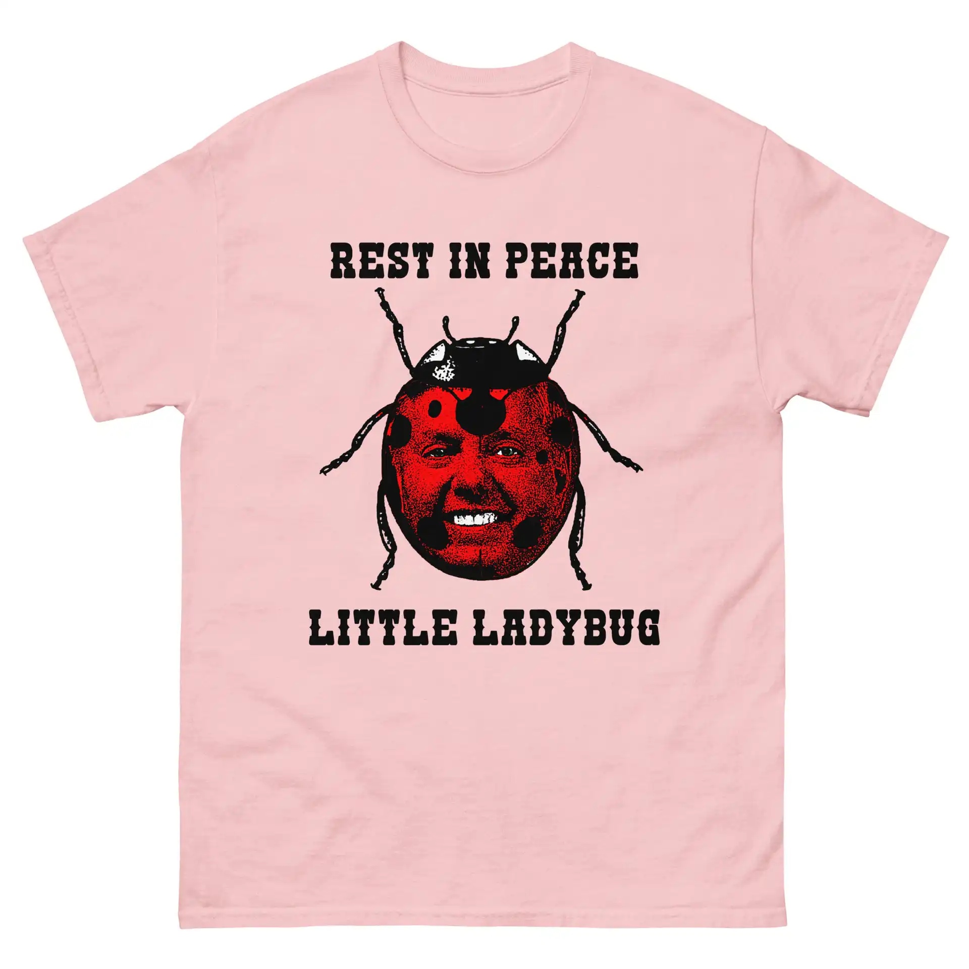 Rest In Peace Little Ladybug Memorial Tribute Comfort Shirt Rest In Peace Little Ladybug Memorial Tribute Comfort Shirt