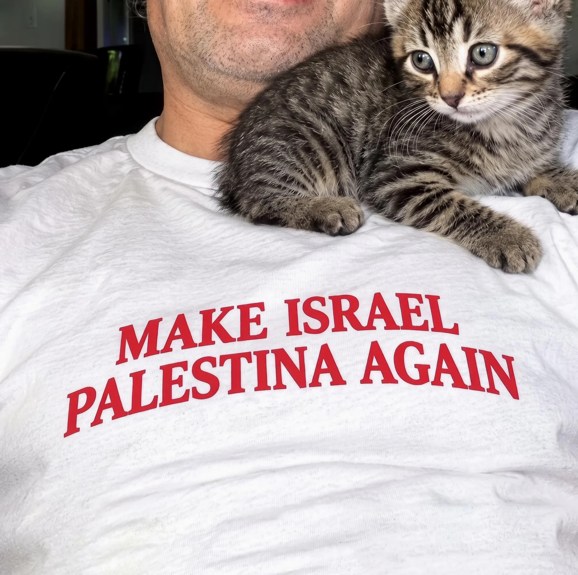 Make Israel Palestina Again Shirt Make Israel Palestina Again Shirt