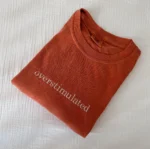 Overstimulated Embroidered Minimalist Shirt