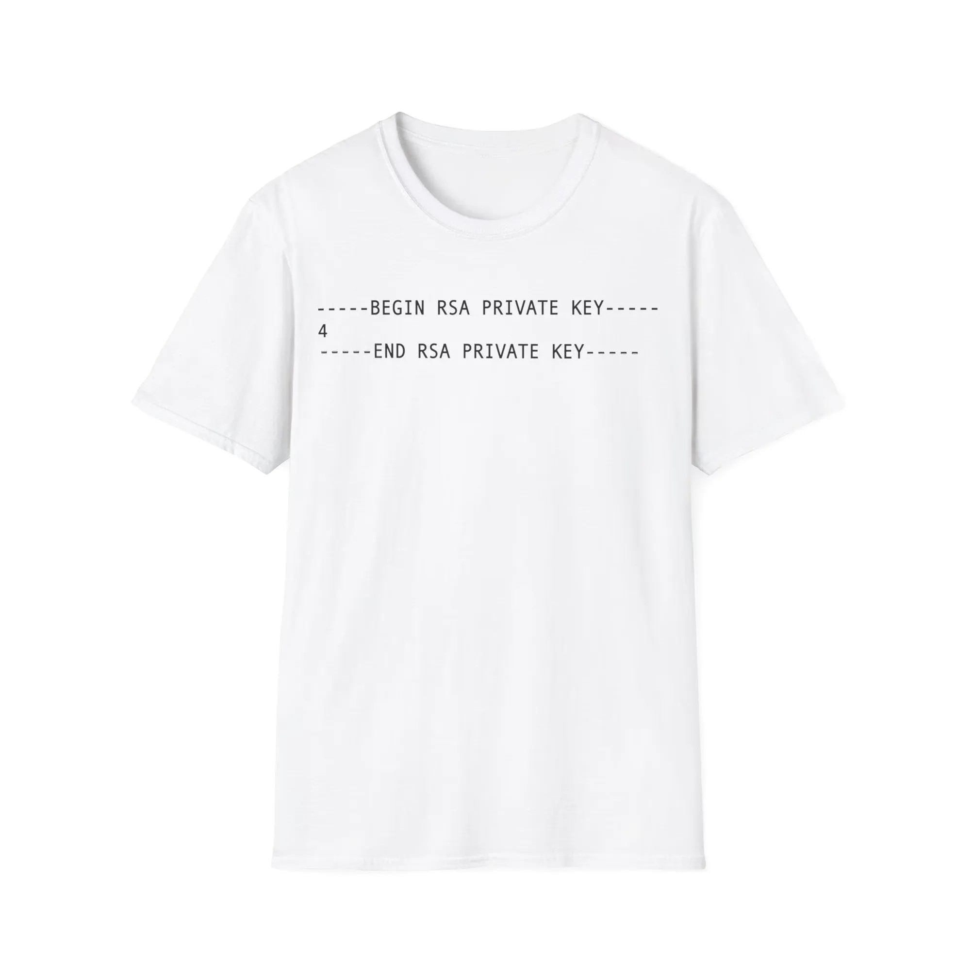Begin RSA Private Key 4 — Cybersecurity Programmer Shirt Begin RSA Private Key 4 — Cybersecurity Programmer Shirt